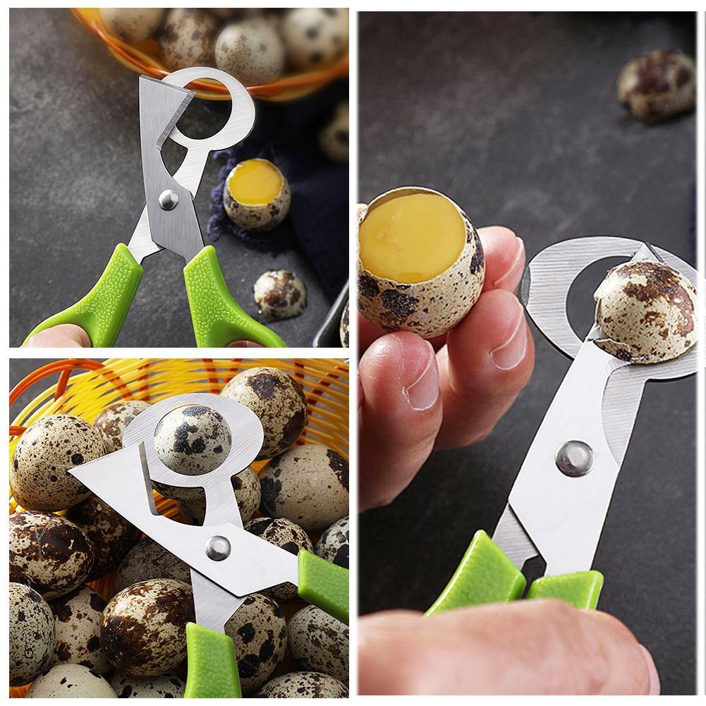 Pigeon Quail Open Crack Small  - Egg Separator Tool review and price